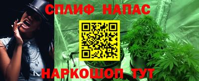 прущие грибы Обнинск