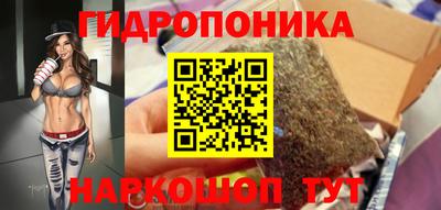 прущие грибы Обнинск