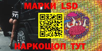 прущие грибы Обнинск